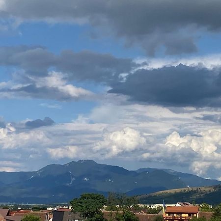 Vila Hora Craiului Zărneşti Buitenkant foto