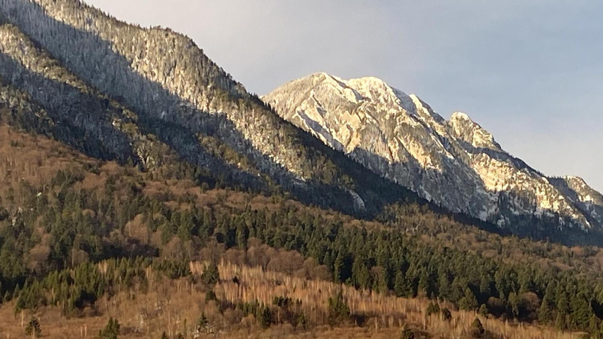 Vila Hora Craiului Zărneşti Buitenkant foto